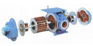 Pompe à vide à anneau liquide mono-étagée avec distribution centrale par cylindres (Alstom, Bell, Neyrtec,..) Pompe à vide à anneau liquide